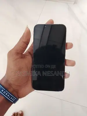 Apple iPhone 13 Pro (Used)
