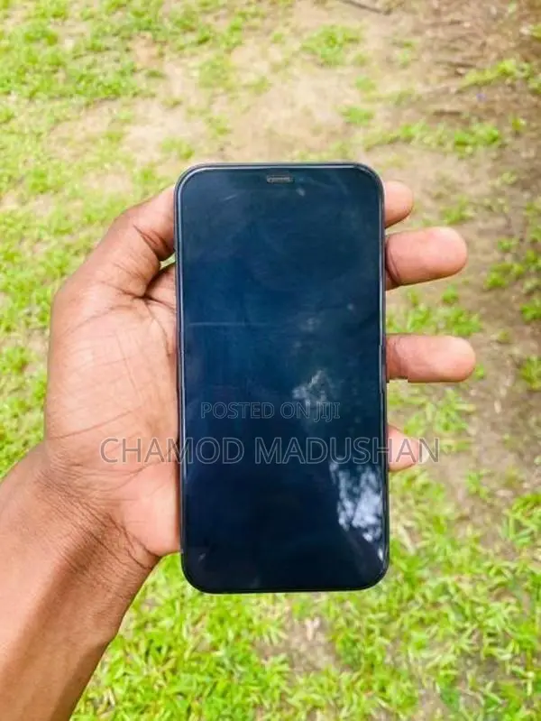 Apple iPhone 12 (Used)