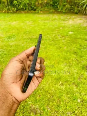 Apple iPhone 12 (Used)