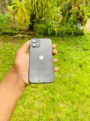 Apple iPhone 12 (Used)