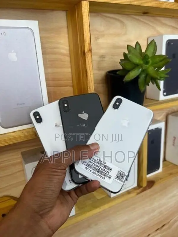 Apple iPhone X 256GB (Used)