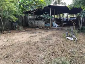 Land with Farm Sale at Alaveddy