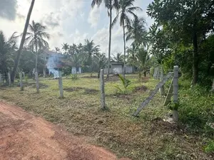 Land for Sale in Kuliyapitiya