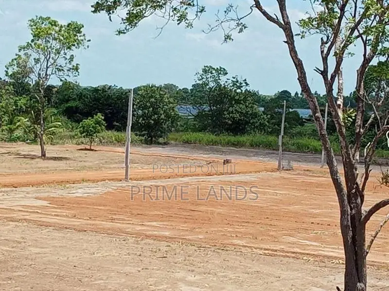 Land in Near the Puttalam Road Bulankulama