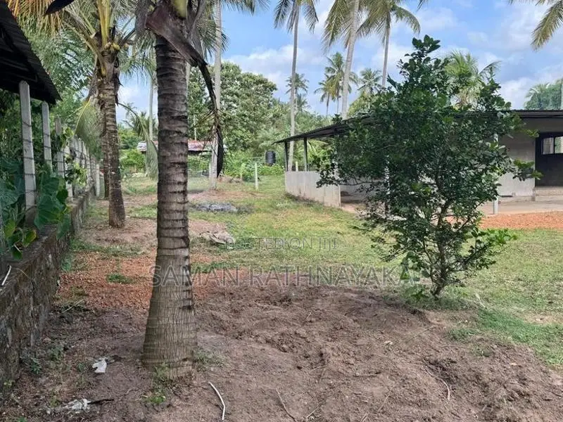 Land for Sale in Kuliyapitiya