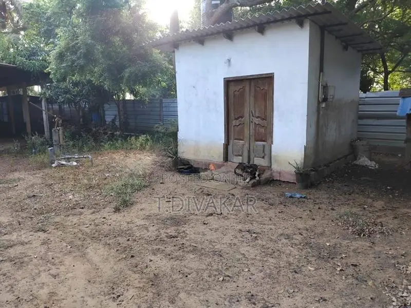 Land with Farm Sale at Alaveddy