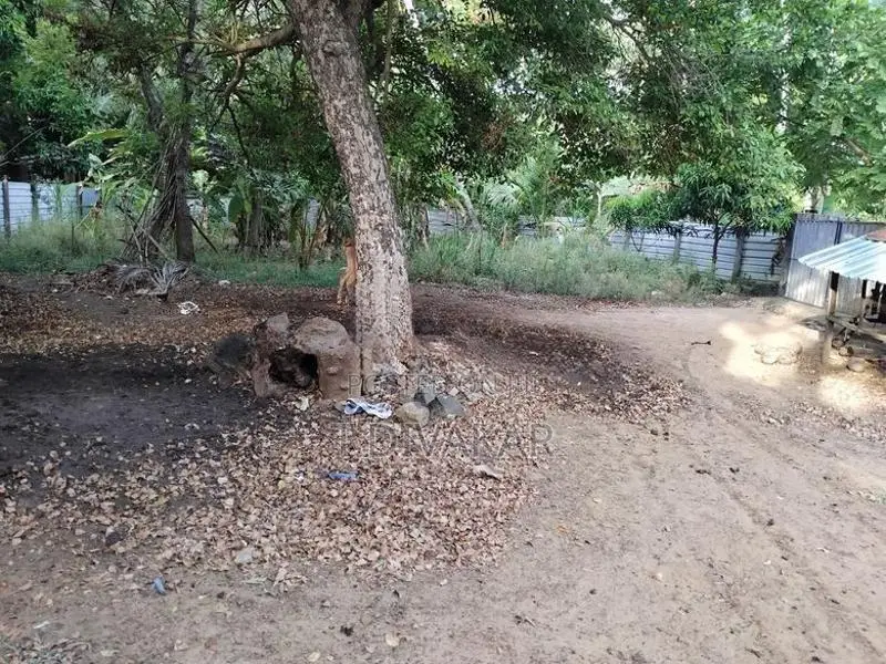Land with Farm Sale at Alaveddy