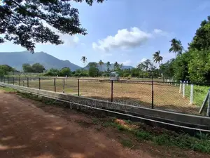දඹුල්ල නගරයට නුදුරින් සින්නක්කර බිම්කොටස් විකිණීමට