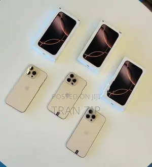 Apple iPhone 16 Pro Max 256GB (Used)