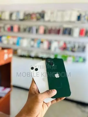 Apple iPhone 13 128GB Fullset Box (Used)
