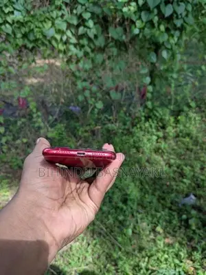 Apple iPhone 11 (Used)