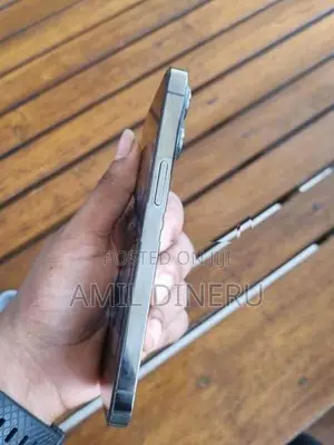 Apple iPhone 13 Pro (Used)