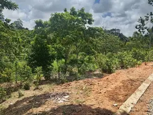 Residential Land Plots for Sale in Ambalangoda