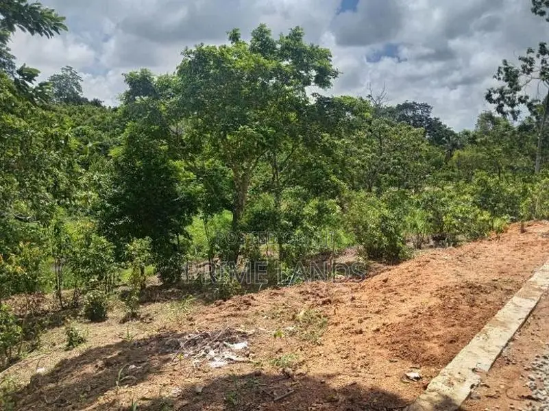 Residential Land Plots for Sale in Ambalangoda