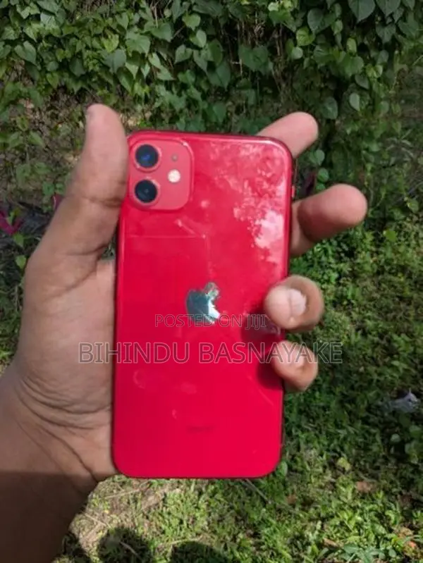 Apple iPhone 11 (Used)