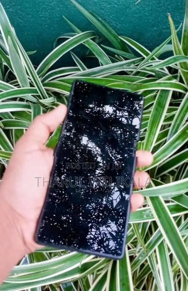 Google Pixel 6 (Used)