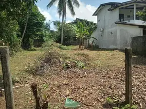 කඩවත පදිංචියට සුදුසු නිස්කලංක පරිසරයක පිහිටි අගනා ඉඩම
