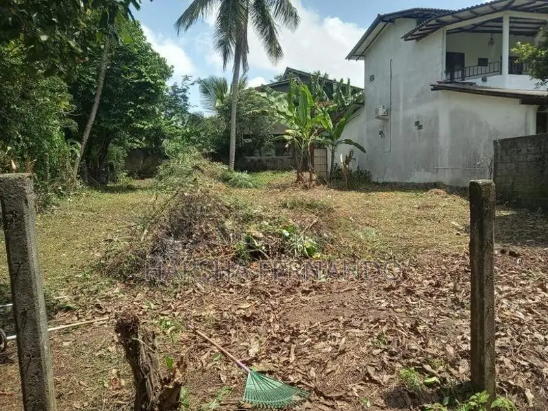 කඩවත පදිංචියට සුදුසු නිස්කලංක පරිසරයක පිහිටි අගනා ඉඩම