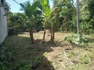 කඩවත පදිංචියට සුදුසු නිස්කලංක පරිසරයක පිහිටි අගනා ඉඩම