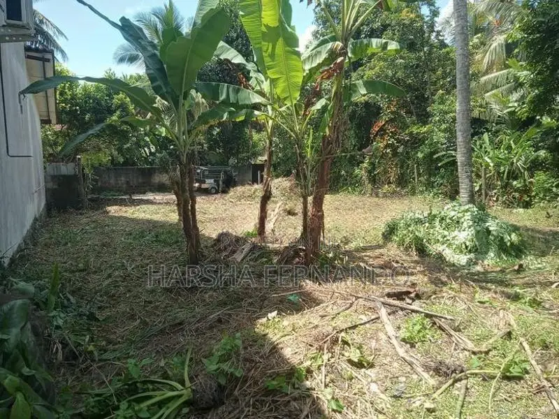 කඩවත පදිංචියට සුදුසු නිස්කලංක පරිසරයක පිහිටි අගනා ඉඩම