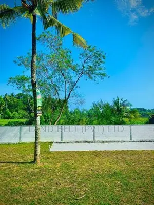 කොට්ටාව නගරයට නුදුරින් ඉඩමක් විකිණීමට ඇත