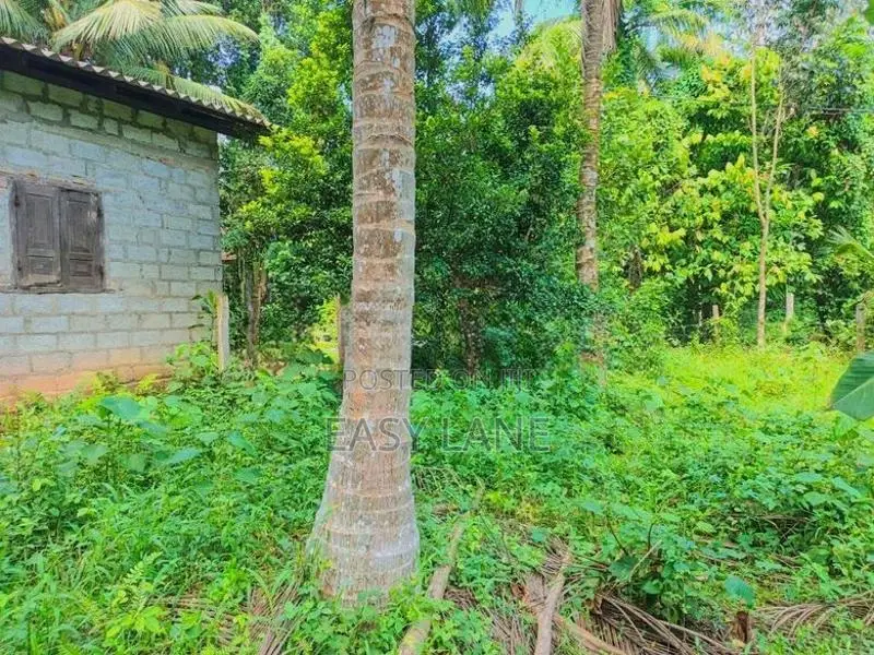 ප්‍රධාන මාර්ගයට 500m දෙවලපොළ පංසල් හංදියෙන් බිම් කොටසක් SA 14616