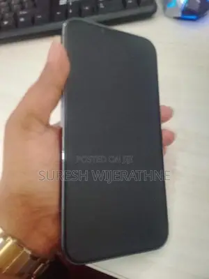 Apple iPhone 13 Pro Max (Used)