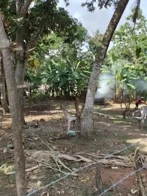 12p Land for Sale at Rajamaha Vihara Road, Kotte