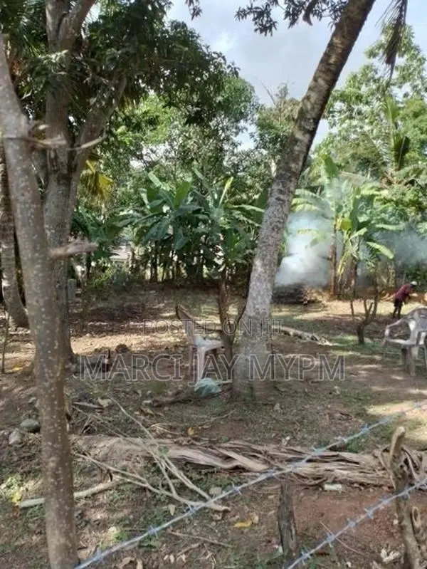 12p Land for Sale at Rajamaha Vihara Road, Kotte