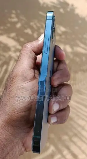 Apple iPhone 12 Pro 256GB (Used)
