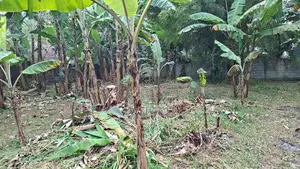 18 Perches of Prime Land for Sale in Bokundara