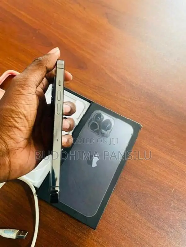 Apple iPhone 13 Pro (Used)