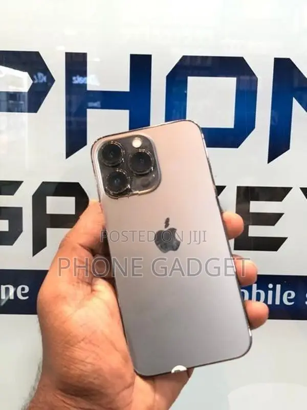 Apple iPhone 13 Pro 256GB (Used)