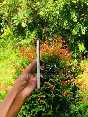 Infinix Smart 10 Silver (Used)