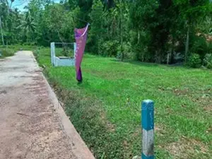 Valuable Land for Sale in Minuwangoda