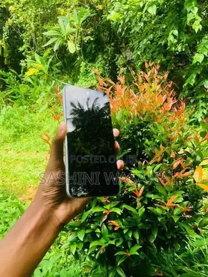 Infinix Smart 10 Silver (Used)