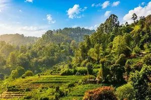 House for Sale බංඩාරවෙල