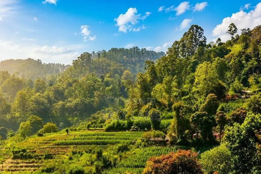 House for Sale බංඩාරවෙල