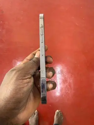 Apple iPhone 13 Pro Max (Used)