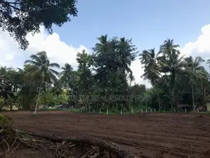 පොතුහැර වදාකඩ මාර්ගයේන් සින්නක්කර ඉඩමක් .