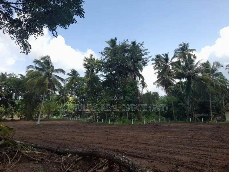 පොතුහැර වදාකඩ මාර්ගයේන් සින්නක්කර ඉඩමක් .