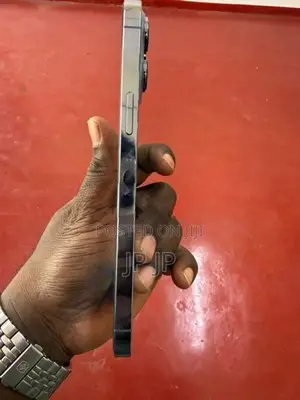 Apple iPhone 13 Pro Max (Used)