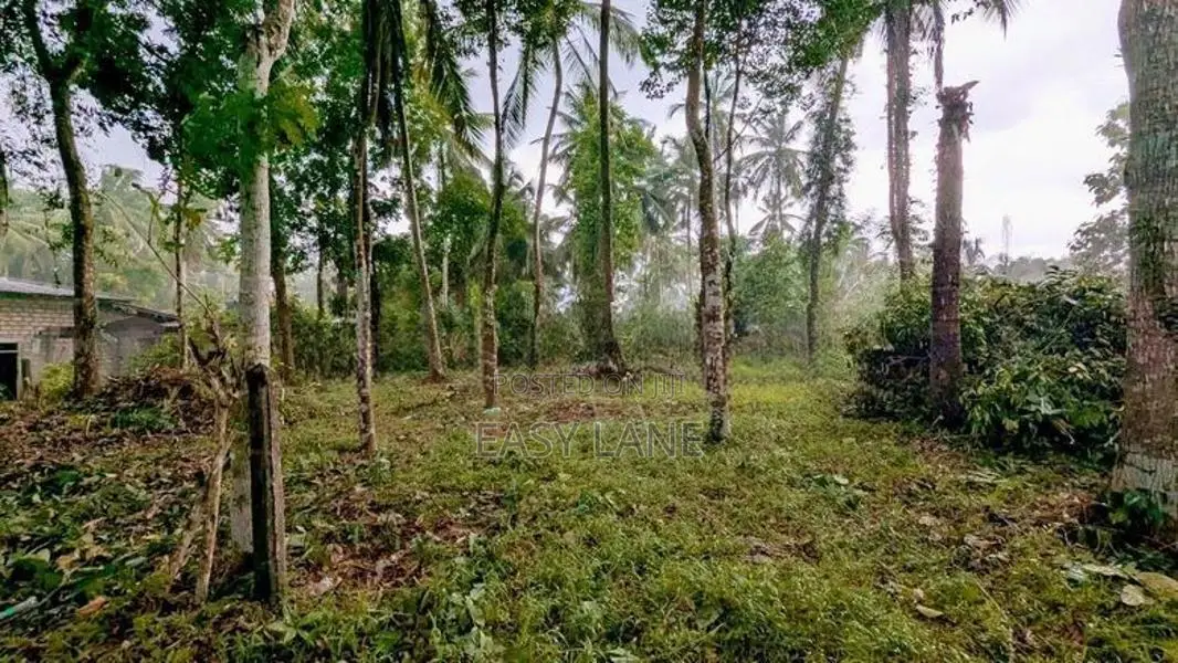 කලගෙඩිහේන – Nolimit අසල වටිනා ඉඩමක් විකිණීමට