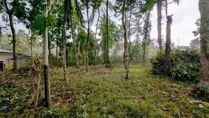 කලගෙඩිහේන – Nolimit අසල වටිනා ඉඩමක් විකිණීමට