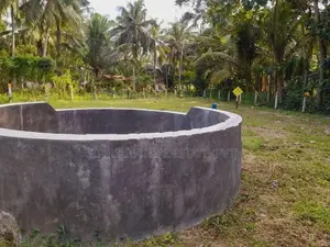 නිකවැරටිය කොබෙයිගනේ මාර්ගයේ වටිනා ඉඩමි