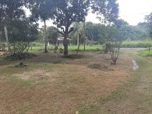 2.5-Acre Property with Modern House for Sale in Galgamuwa
