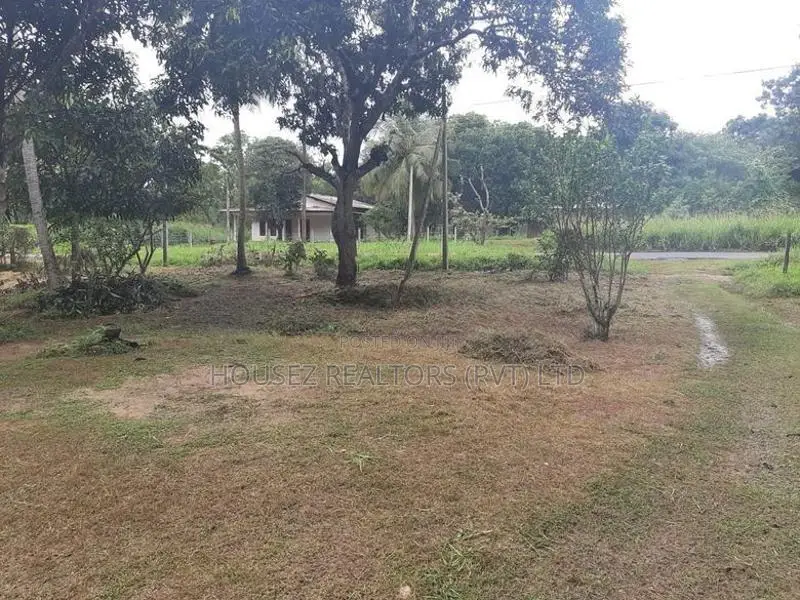 2.5-Acre Property with Modern House for Sale in Galgamuwa