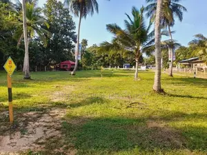 නිකවැරටිය කොබෙයිගනේ මාර්ගයේ වටිනා ඉඩමි