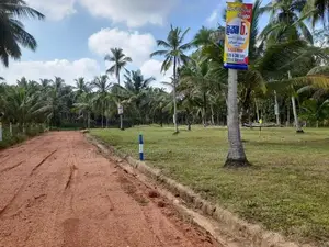 නිකවැරටිය කොබෙයිගනේ මාර්ගයේ වටිනා ඉඩමි