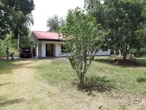 2.5-Acre Property with Modern House for Sale in Galgamuwa